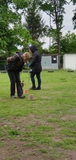 Nasenarbeit mit den Welpen und Junghunden 2019